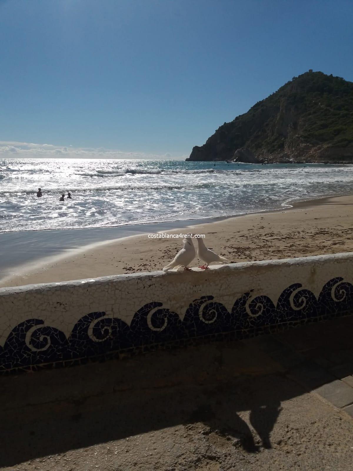 IMG-20251119-WA0101