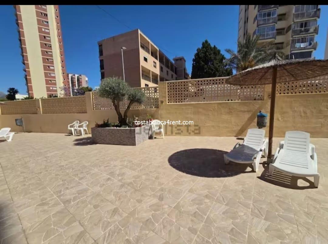 WhatsApp-afbeelding 2026-02-13 om 12.13.17