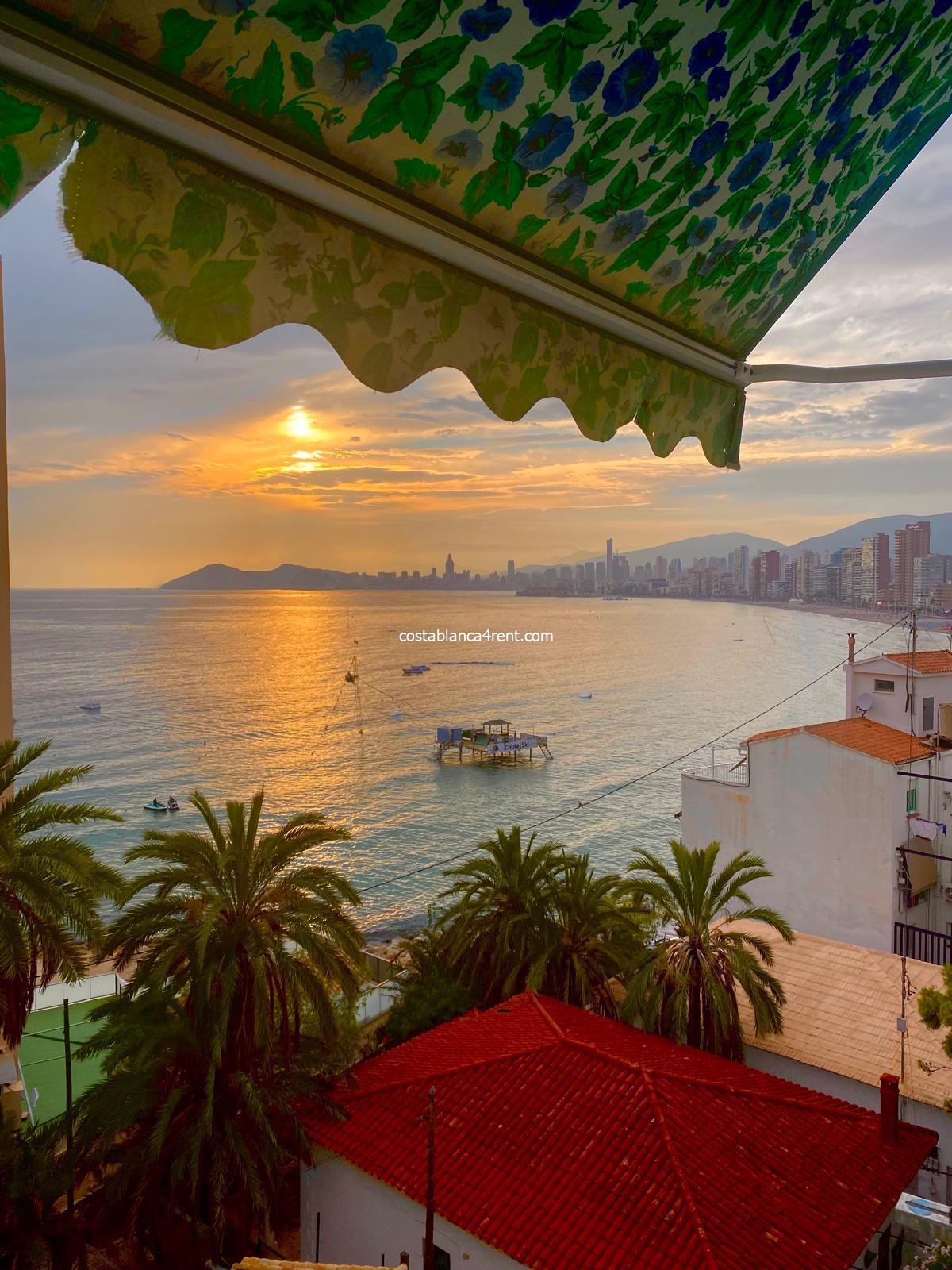 320ca13f-894e-4766-b282-c0044b5d2298-1_all_49034